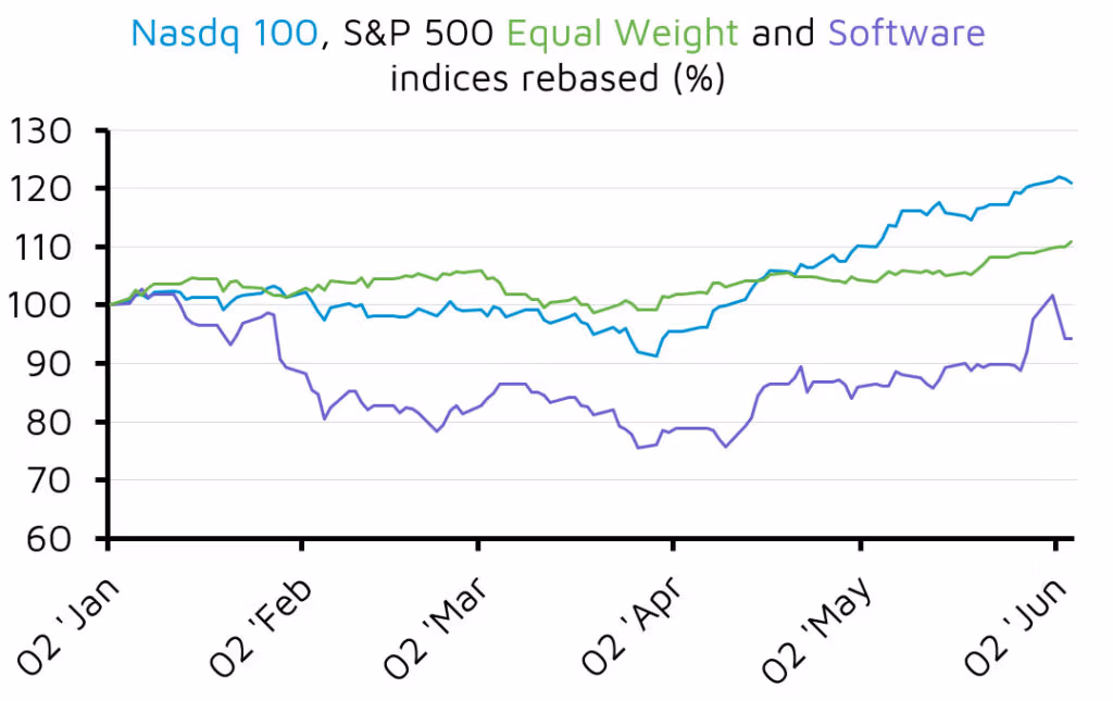 Nasdaq 100, S&P 500 and Software index chart